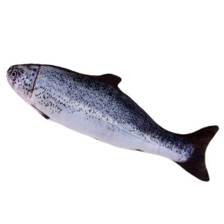 Іграшка Рибка Форель для кота плюшева