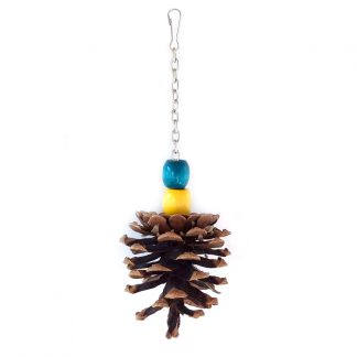 Шишка-іграшка для папуг з намистинами