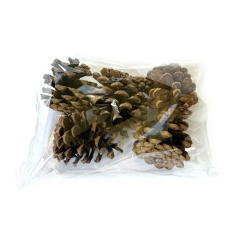 Шишки іграшки для гризунів та папуг