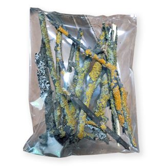 Гілочки з лишайником 100 г