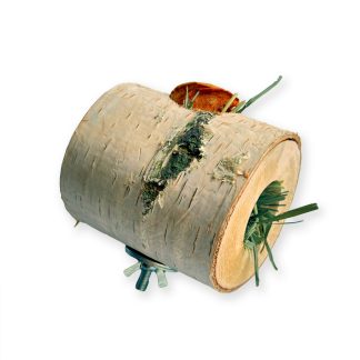 Фуражилка Тунель березова з кріпленням