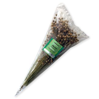 Льон в колосках 30 г