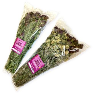 Букет з різновидів Конюшини для папуг та гризунів