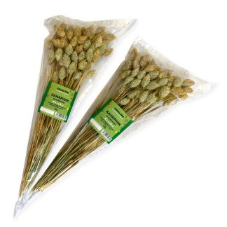 Канарник в колосках 30 г