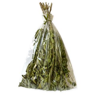 Шовковичний віничок ЗЕЛЕНИЙ РАЦІОН