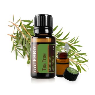 Ефірна олія Чайне дерево Tea Tree doTERRA